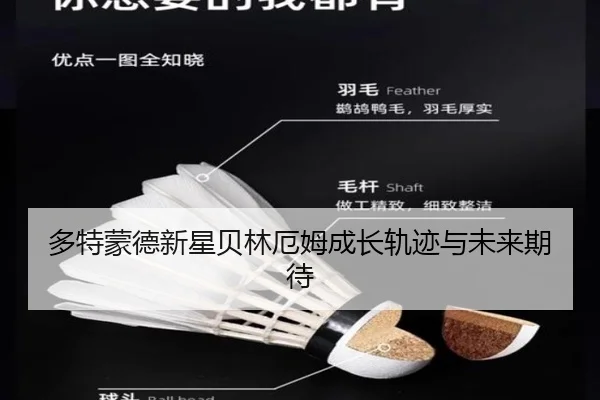 多特蒙德新星贝林厄姆成长轨迹与未来期待